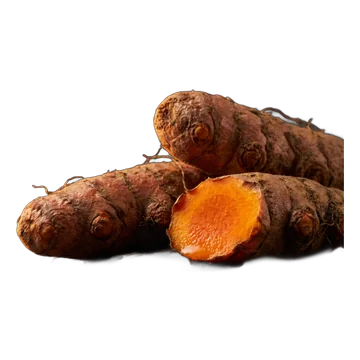 Turmeric Root Extract — ingredient in Arthmira